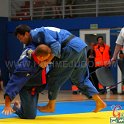 MOGENA 2013 0038